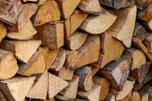 Some logs ready to burn on a Stove.